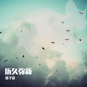 法国黄色淫税秽网站
