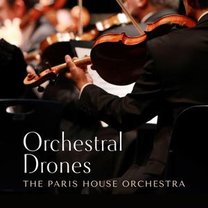 法国黄色淫税秽网站
